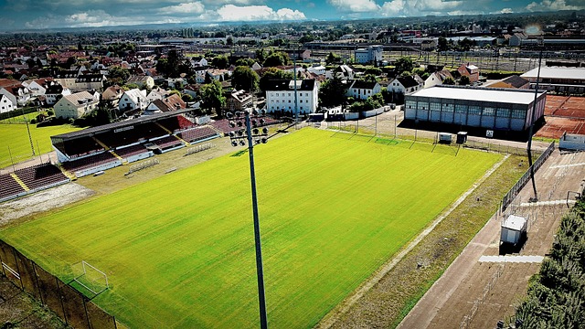 的表现值得 的表现值得