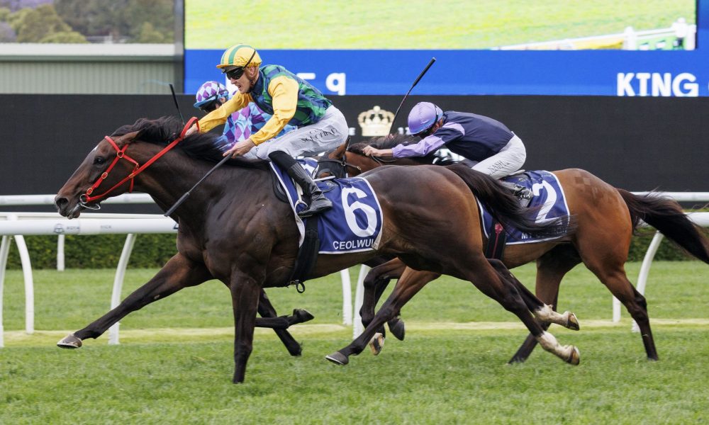 中三记三分 中三记三分