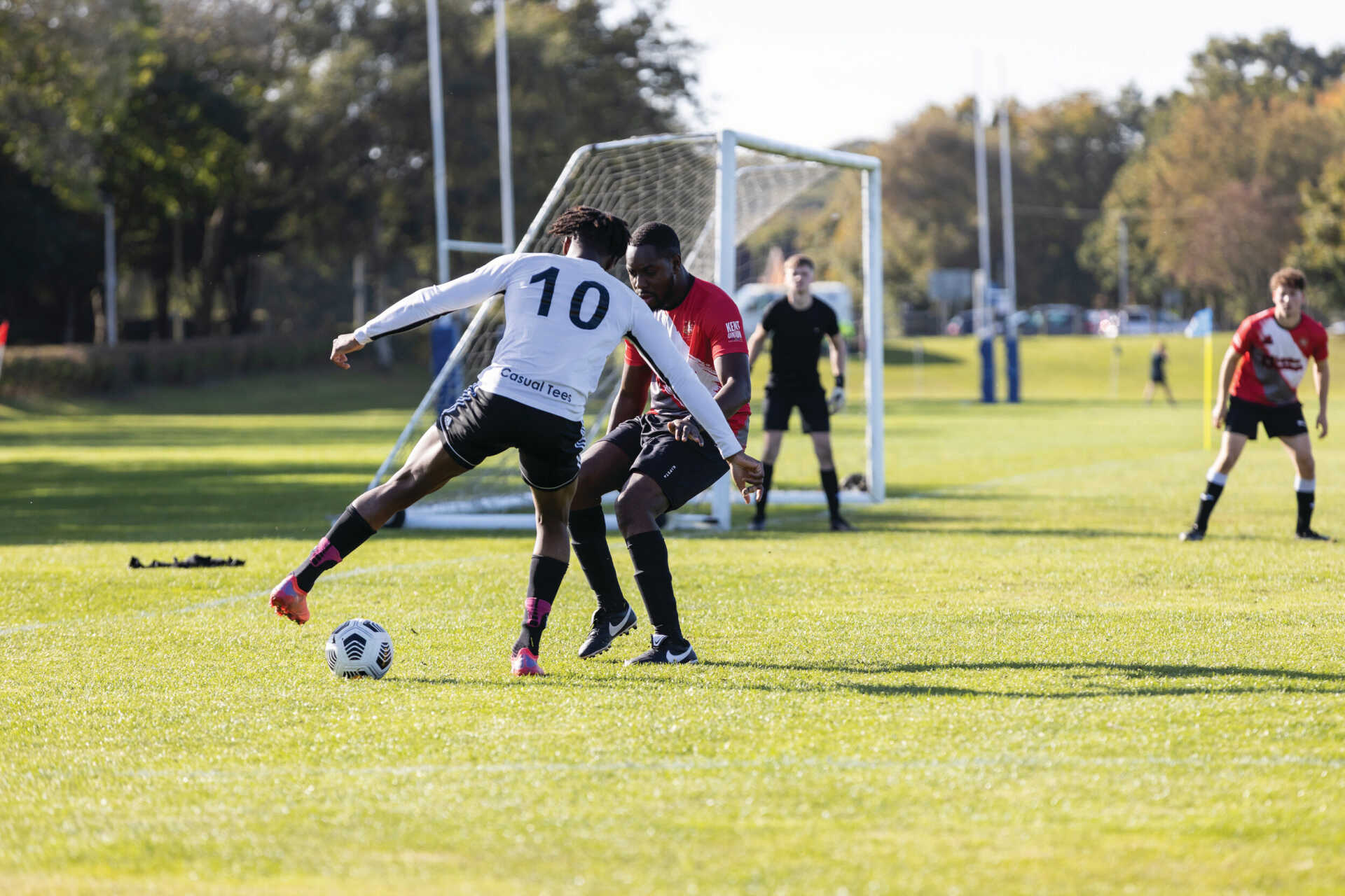 談及鐵林聊 談及鐵林聊