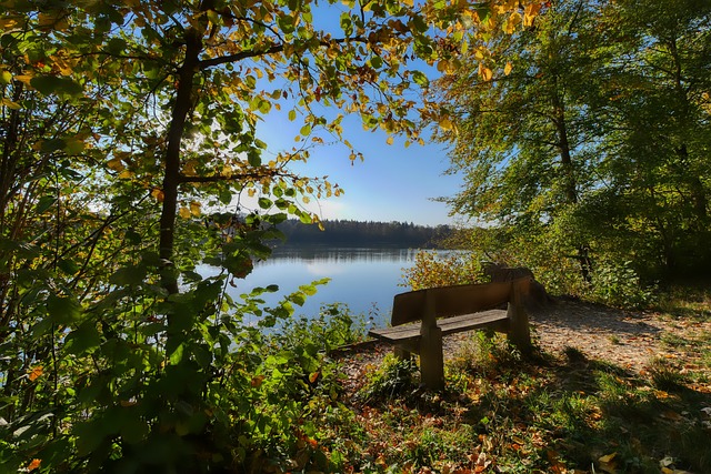 焕发新生 焕发新生